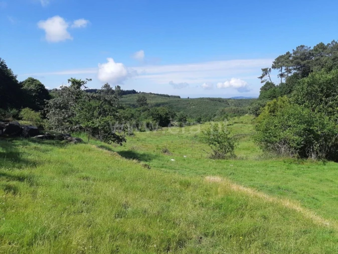 Terreno para Venda em Campelo e Ovil Foto 10