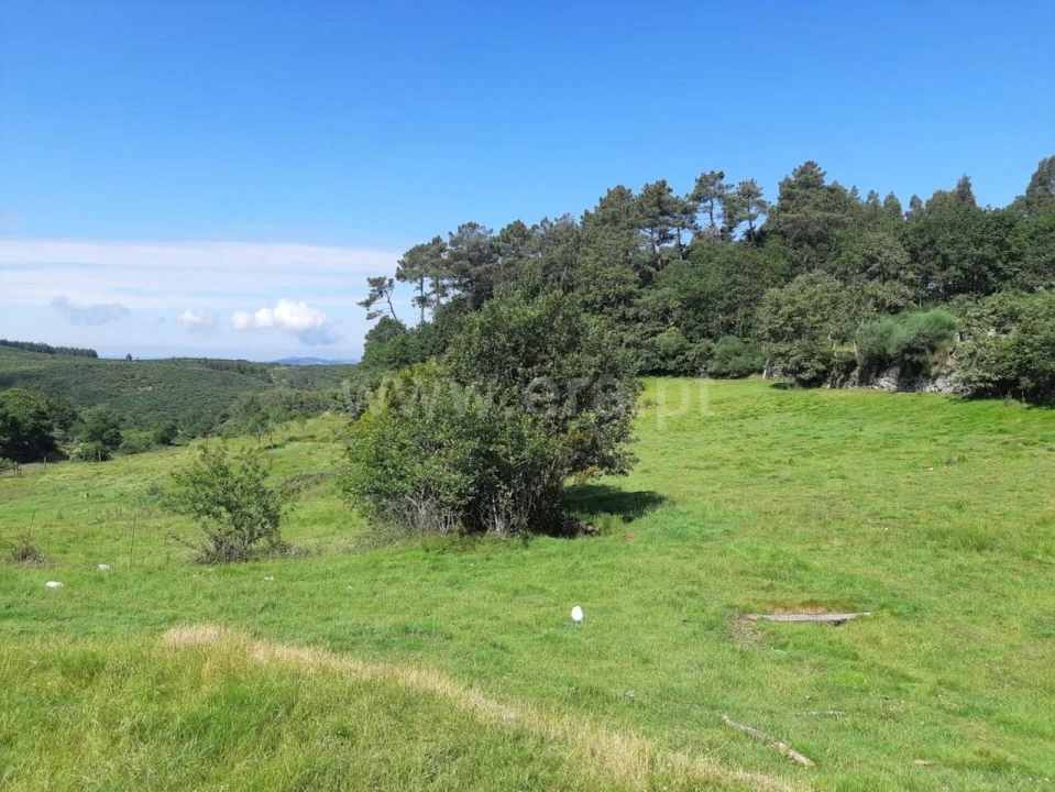 Terreno para Venda em Campelo e Ovil Foto 9