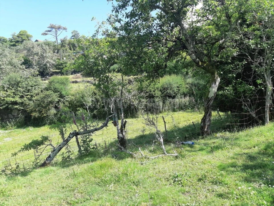Terreno para Venda em Campelo e Ovil Foto 7