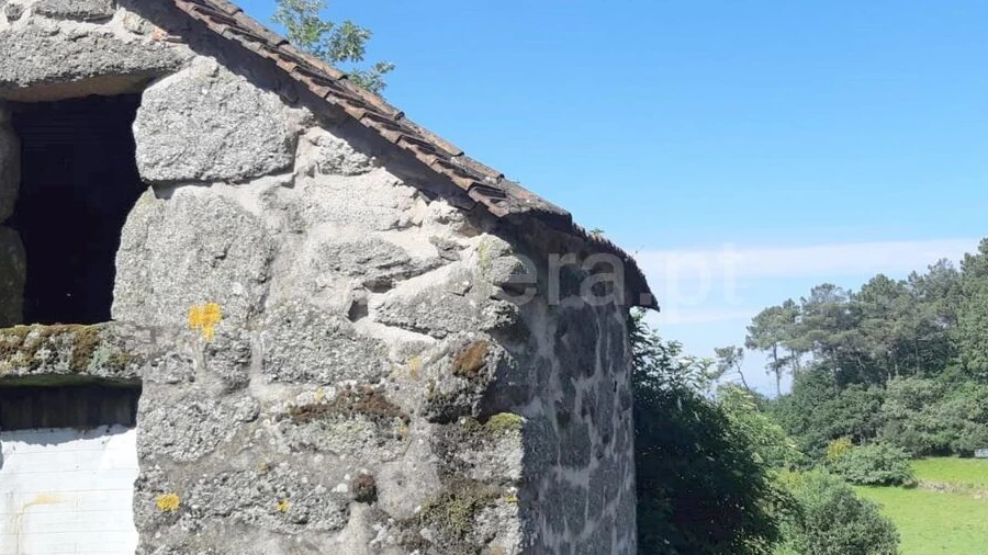 Terreno para Venda em Campelo e Ovil