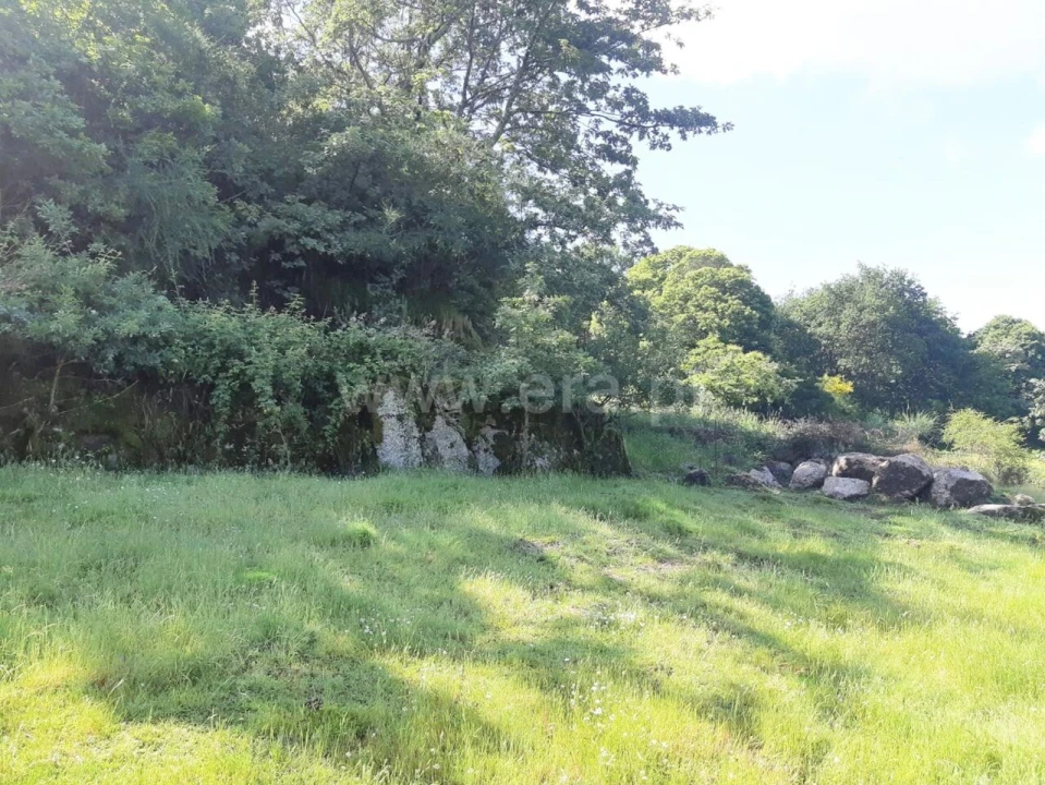 Terreno para Venda em Campelo e Ovil Foto 4