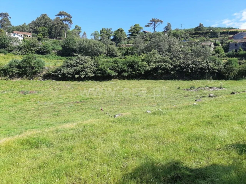 Terreno para Venda em Campelo e Ovil Foto 6