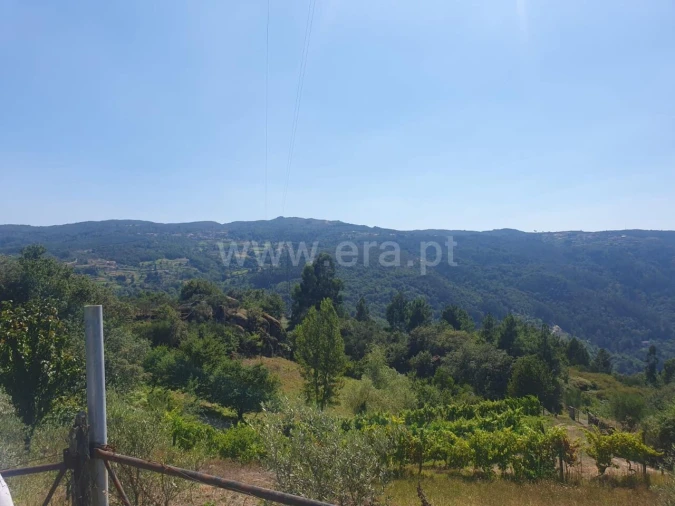 Terreno para Venda em Bustelo, Carneiro e Carvalho de Rei Foto 4