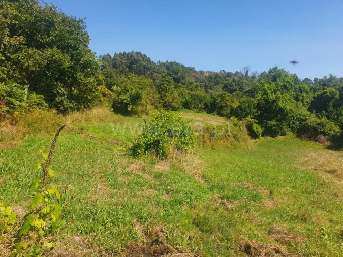 Terreno para Venda em Bustelo, Carneiro e Carvalho de Rei Foto 2