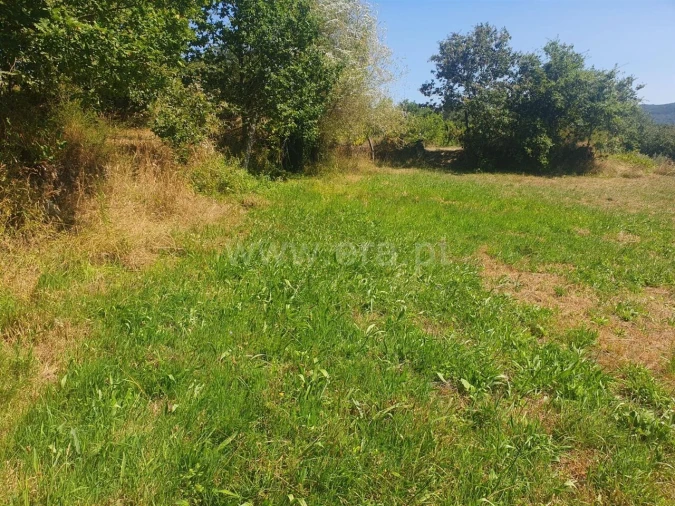 Terreno para Venda em Bustelo, Carneiro e Carvalho de Rei Foto 9
