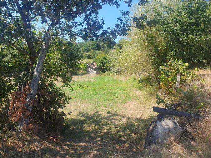 Terreno para Venda em Bustelo, Carneiro e Carvalho de Rei Foto 6