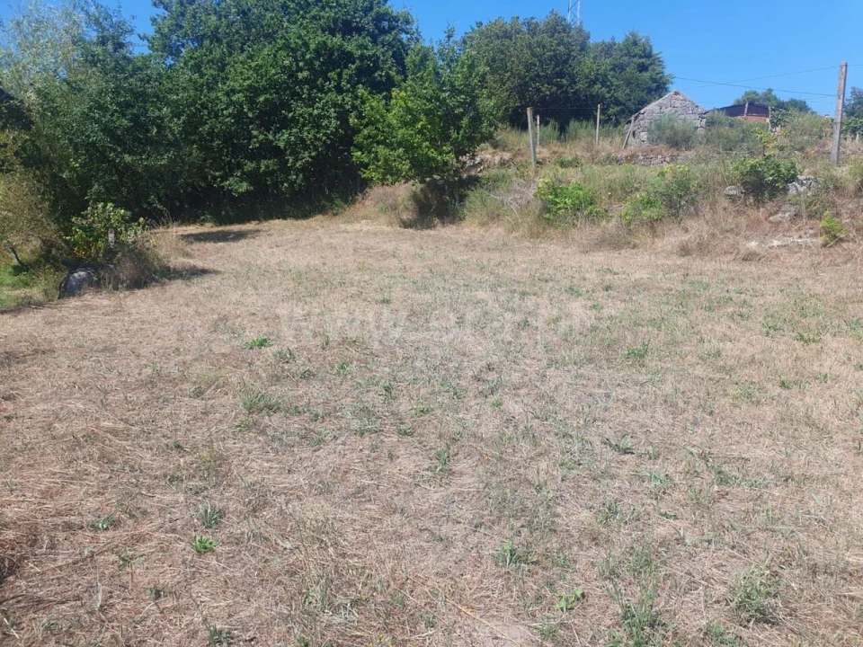 Terreno para Venda em Bustelo, Carneiro e Carvalho de Rei Foto 5