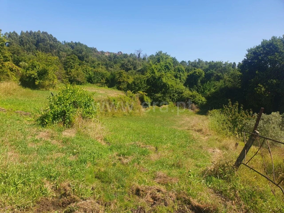 Terreno para Venda em Bustelo, Carneiro e Carvalho de Rei Foto 3