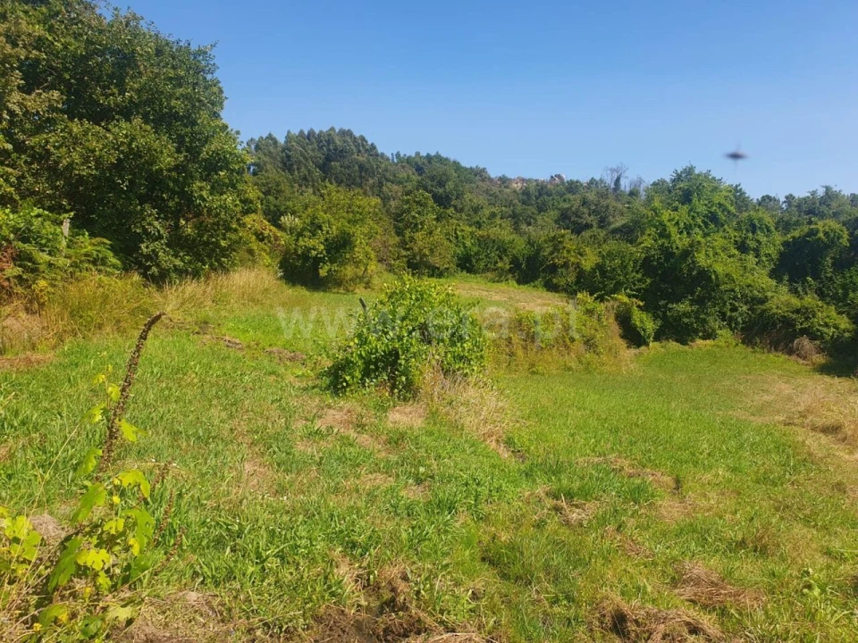 Terreno para Venda em Bustelo, Carneiro e Carvalho de Rei Foto 2