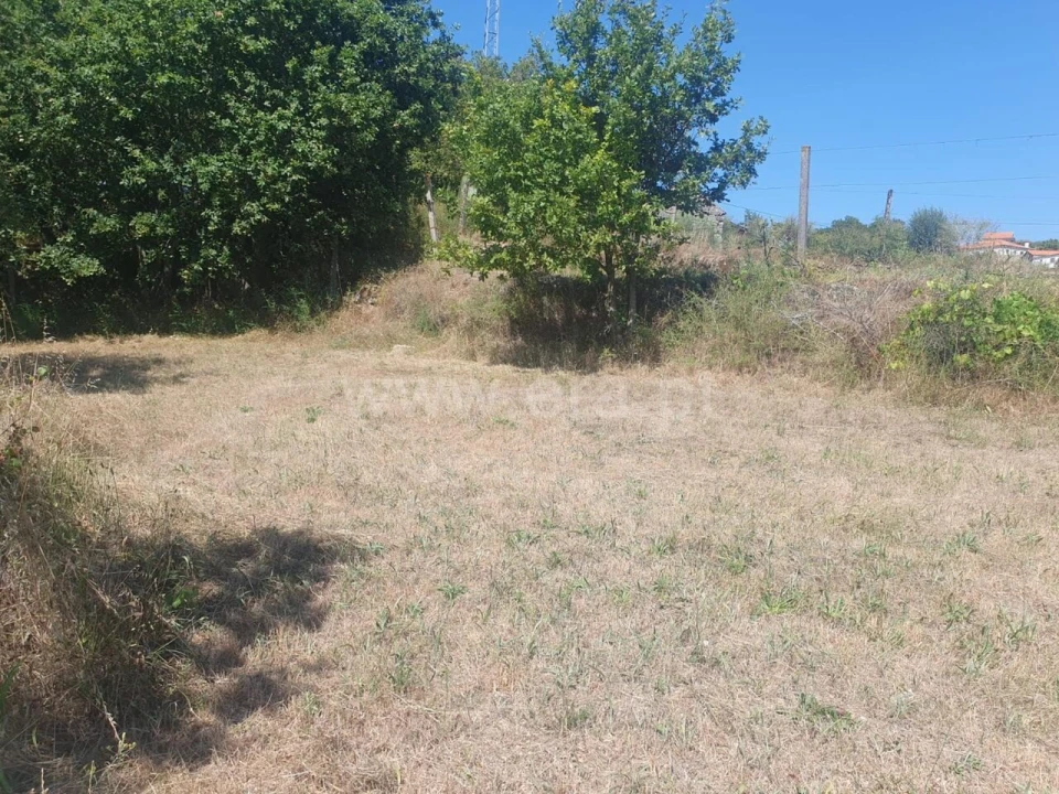 Terreno para Venda em Bustelo, Carneiro e Carvalho de Rei Foto 7