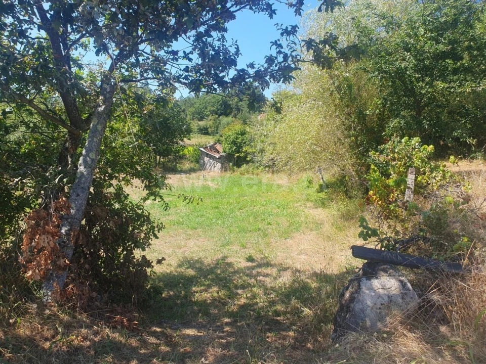 Terreno para Venda em Bustelo, Carneiro e Carvalho de Rei Foto 6