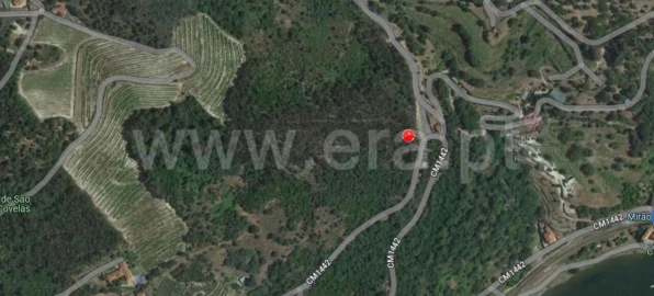 Terreno para Venda em Santa Cruz do Douro e São Tomé de Covelas