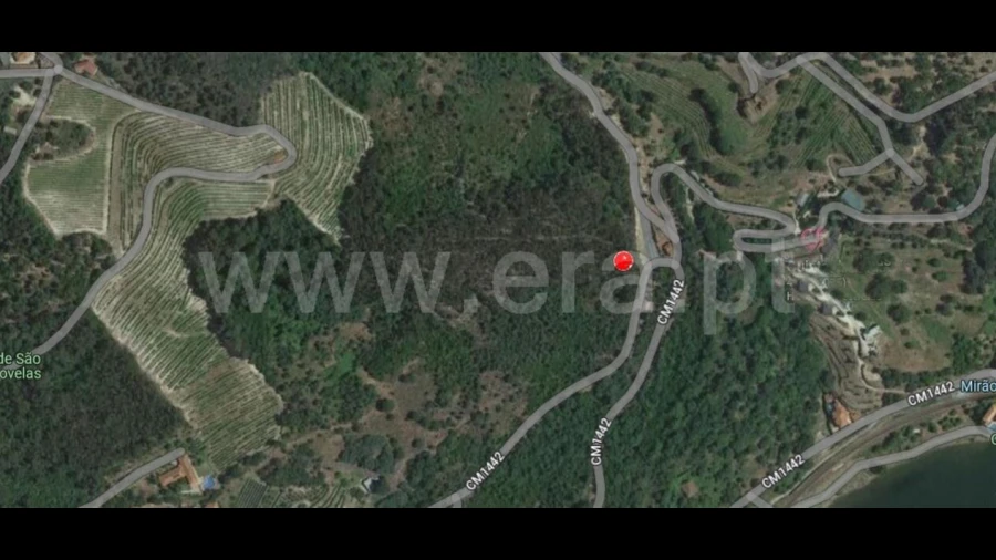 Terreno para Venda em Santa Cruz do Douro e São Tomé de Covelas