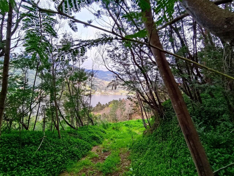 Terreno para Venda em Anreade e São Romão de Aregos Foto 2
