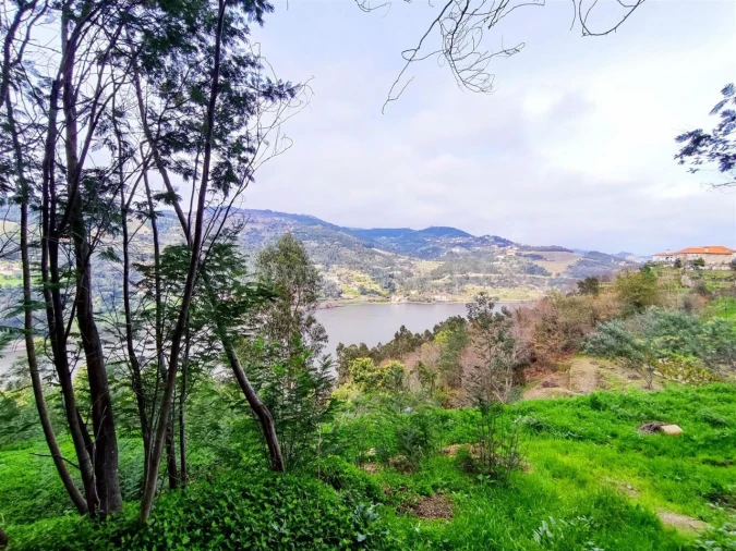 Terreno para Venda em Anreade e São Romão de Aregos Foto 1