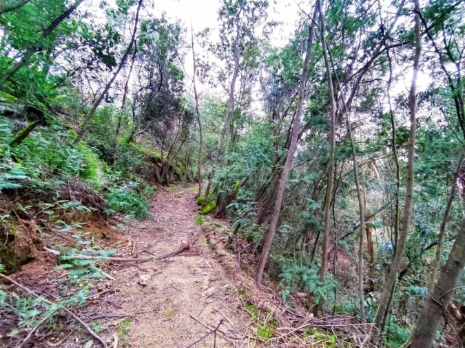 Terreno para Venda em Anreade e São Romão de Aregos Foto 6