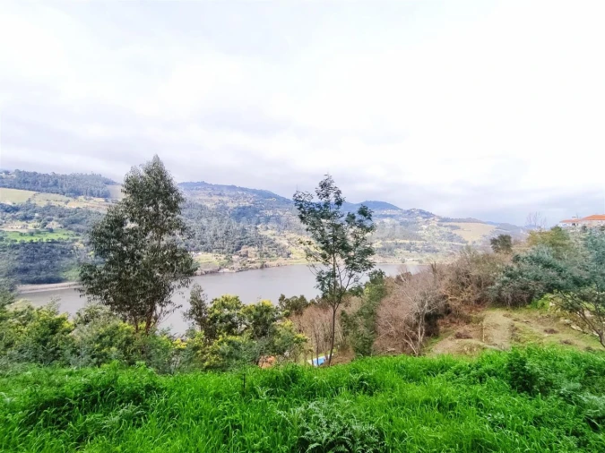 Terreno para Venda em Anreade e São Romão de Aregos Foto 4