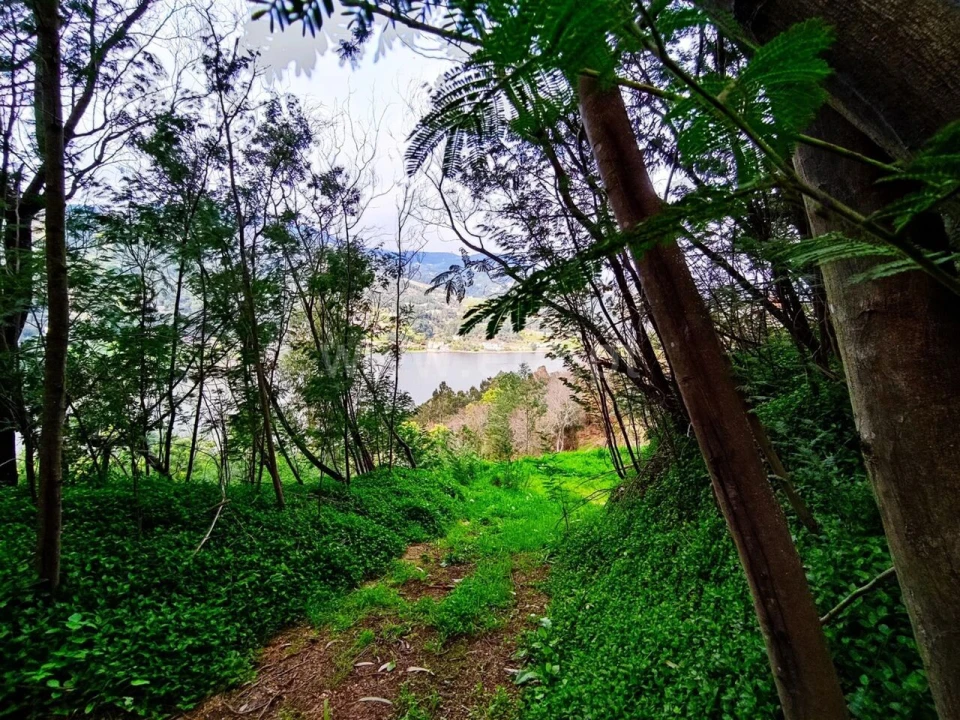 Terreno para Venda em Anreade e São Romão de Aregos Foto 3