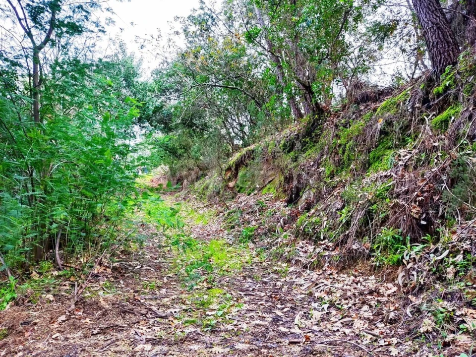 Terreno para Venda em Anreade e São Romão de Aregos Foto 7