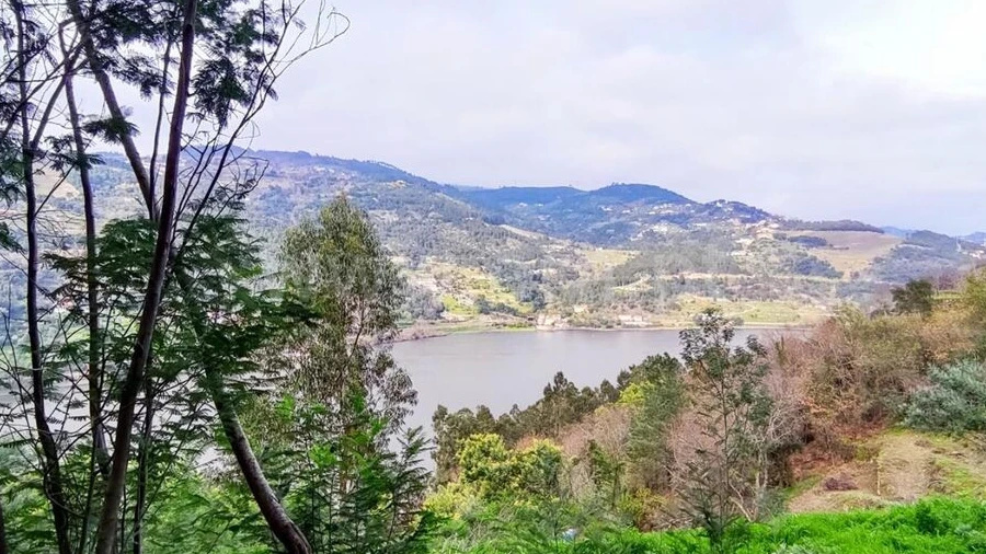 Terreno para Venda em Anreade e São Romão de Aregos