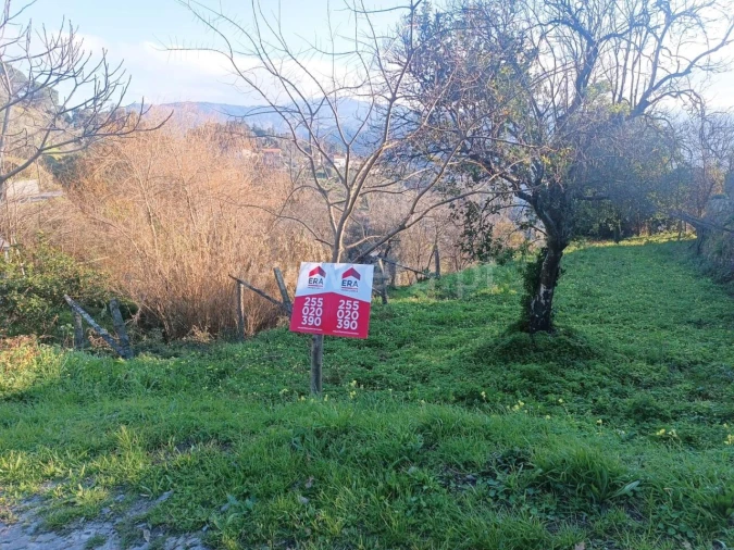 Terreno para Venda em Ancede e Ribadouro Foto 2