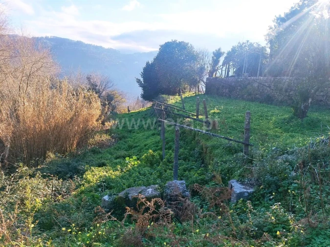 Terreno para Venda em Ancede e Ribadouro Foto 4