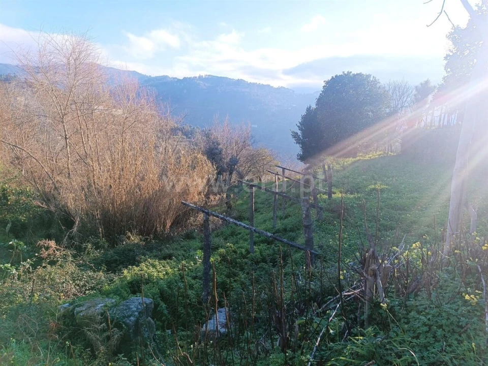 Terreno para Venda em Ancede e Ribadouro Foto 5
