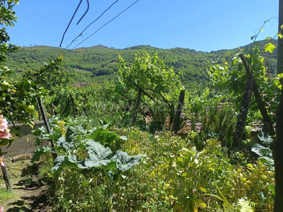 Moradia T1 para Venda em Anreade e São Romão de Aregos Foto 2