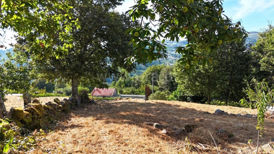 Terreno para Venda em Campelo e Ovil Foto 11