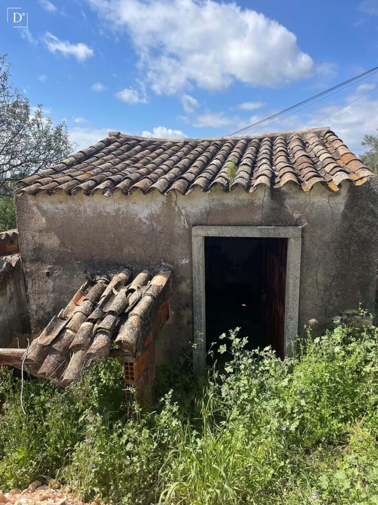 Terreno para Venda em Loule (São Clemente) Foto 16