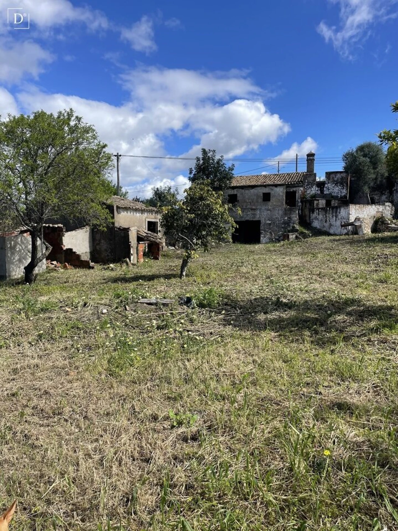 Terreno para Venda em Loule (São Clemente) Foto 12