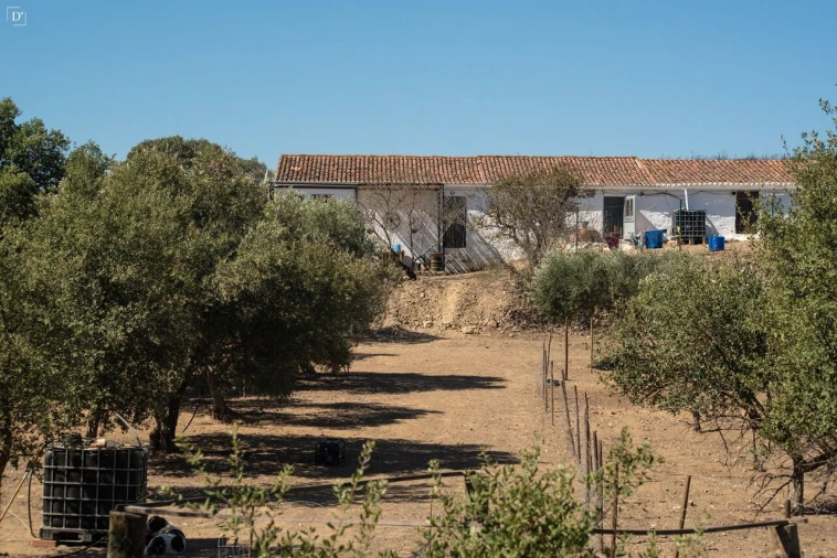 Moradia T2 para Venda em São Miguel do Pinheiro, São Pedro de Solis, São Sebastião dos Carros