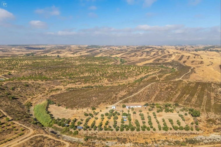 Moradia T2 para Venda em São Miguel do Pinheiro, São Pedro de Solis, São Sebastião dos Carros Foto 19