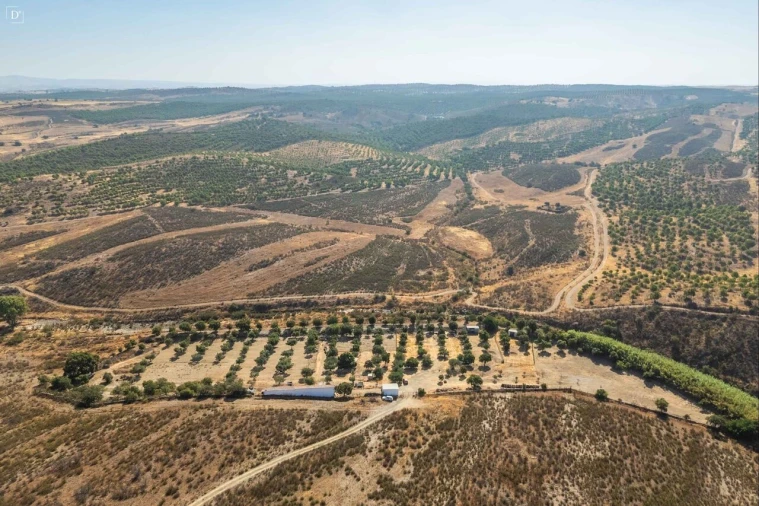 Moradia T2 para Venda em São Miguel do Pinheiro, São Pedro de Solis, São Sebastião dos Carros Foto 18