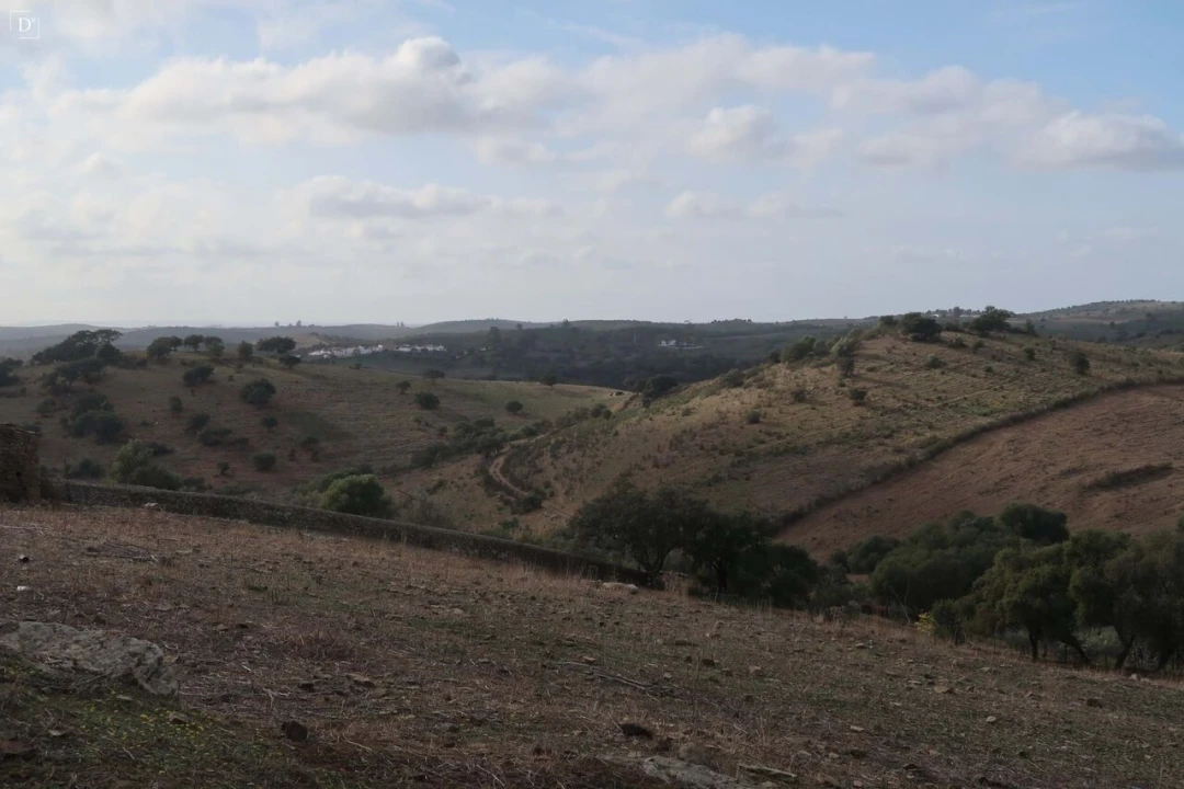 Moradia T3 para Venda em São Miguel do Pinheiro, São Pedro de Solis, São Sebastião dos Carros Foto 2