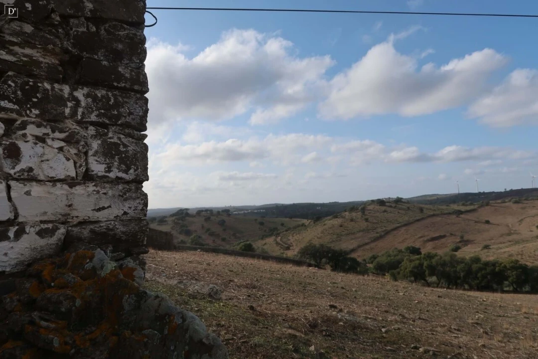Moradia T3 para Venda em São Miguel do Pinheiro, São Pedro de Solis, São Sebastião dos Carros Foto 12