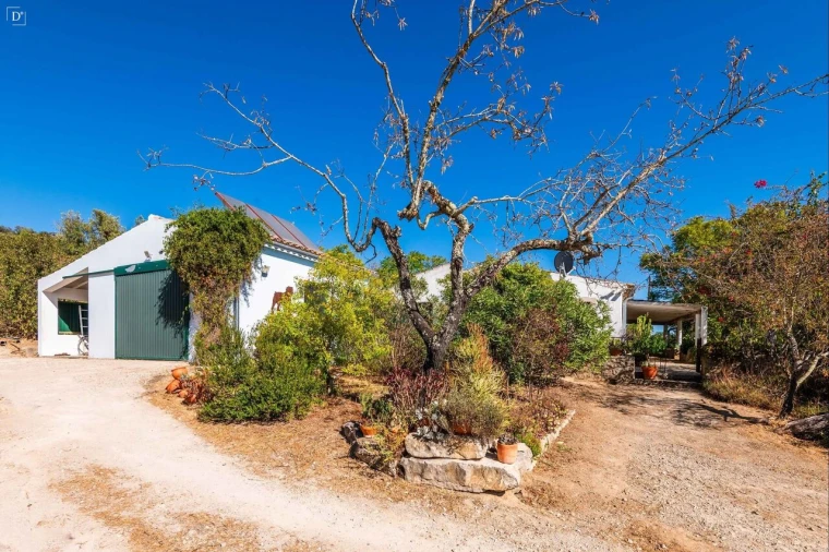 Moradia T3 para Venda em Loule (São Clemente) Foto 7