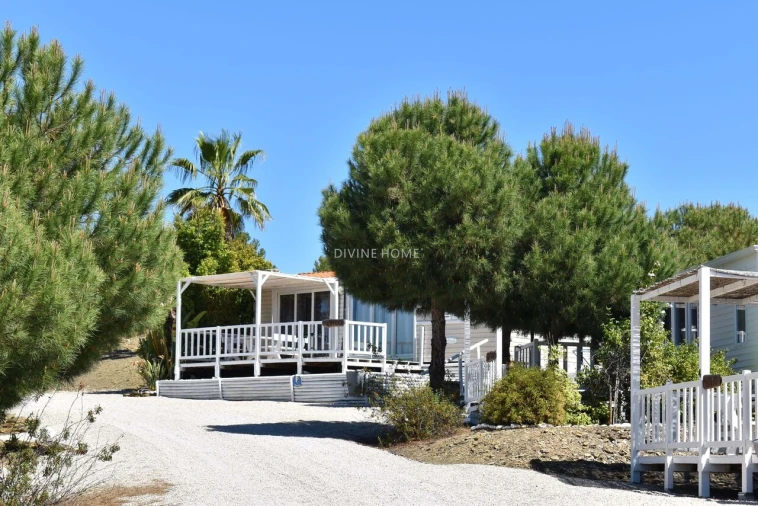 Moradia T6 para Venda em São Miguel do Pinheiro, São Pedro de Solis, São Sebastião dos Carros Foto 16
