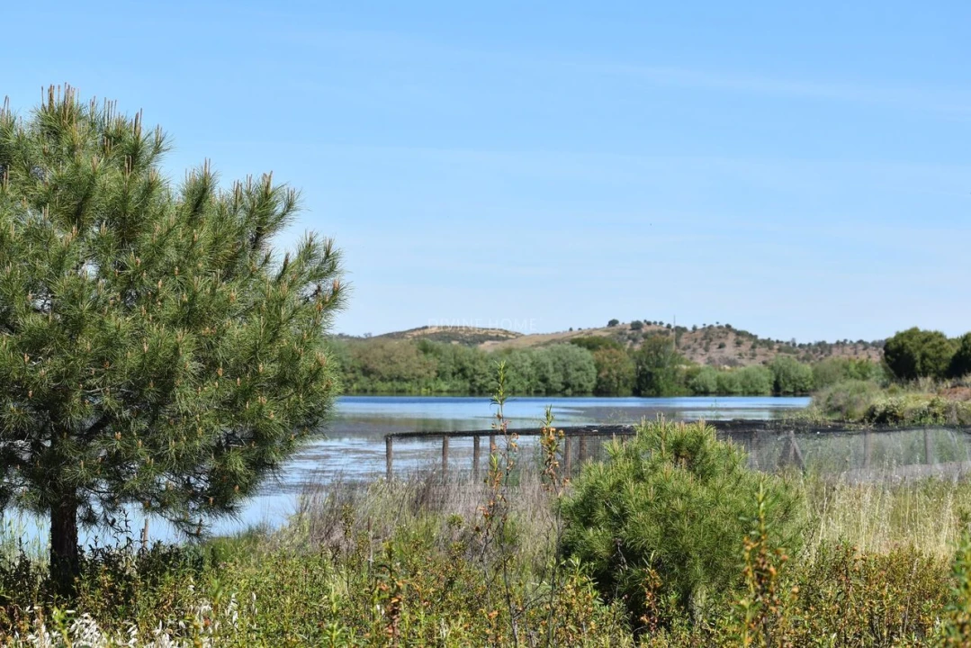 Moradia T6 para Venda em São Miguel do Pinheiro, São Pedro de Solis, São Sebastião dos Carros Foto 25