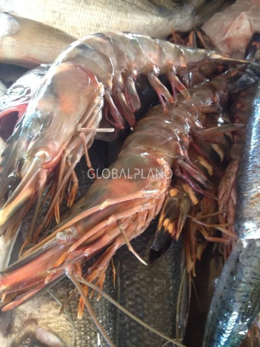 Loja para Venda em Portimão Foto 7