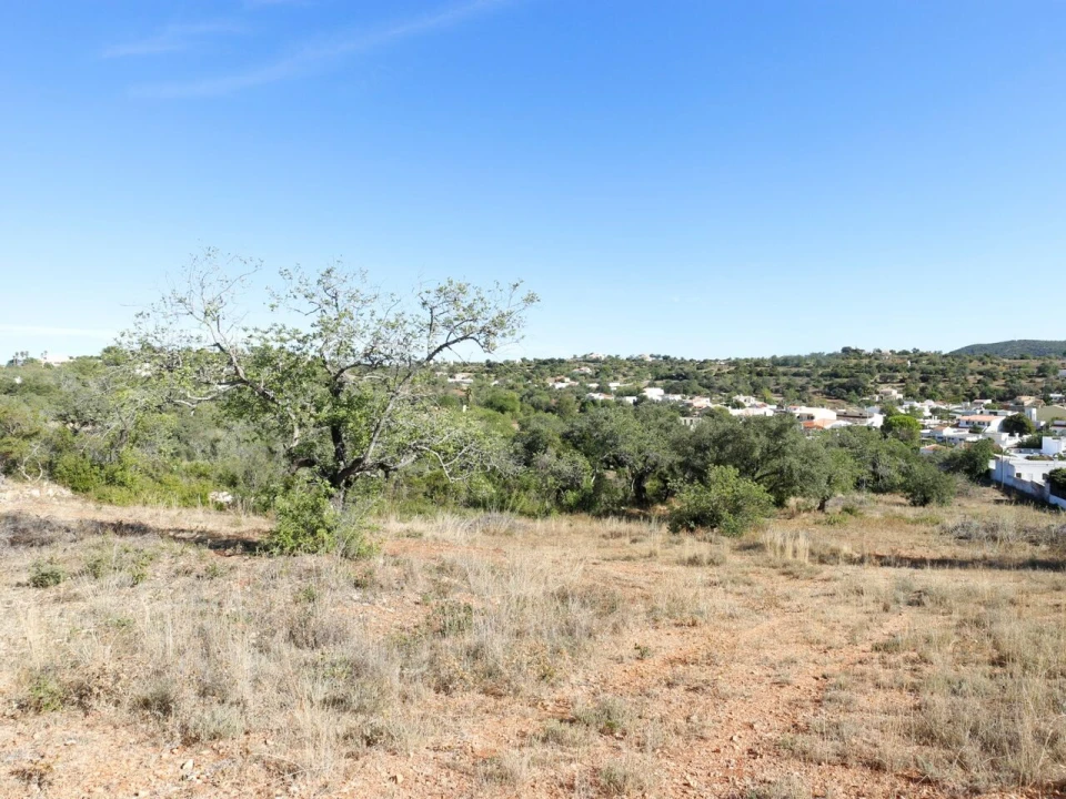 Terreno para Venda em Loule (São Clemente) Foto 21