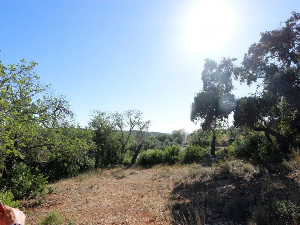 Terreno para Venda em Loule (São Clemente) Foto 22