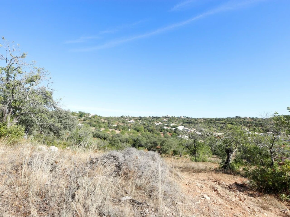 Terreno para Venda em Loule (São Clemente) Foto 24