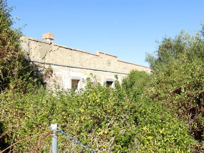 Terreno para Venda em Loule (São Clemente) Foto 17
