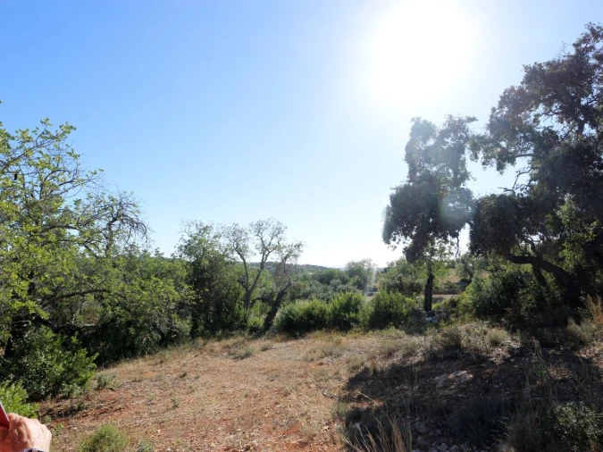Terreno para Venda em Loule (São Clemente) Foto 22