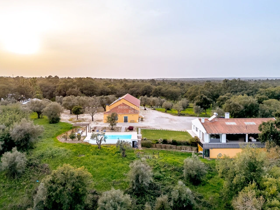 Quinta T9 para Venda em Azeitão (São Lourenço e São Simão) Foto 29