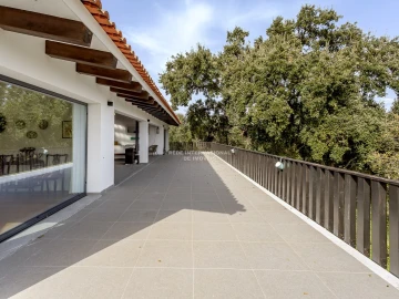 Quinta T9 para Venda em Azeitão (São Lourenço e São Simão)