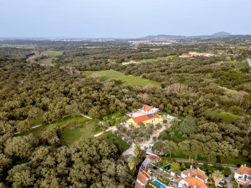 Quinta T9 para Venda em Azeitão (São Lourenço e São Simão)