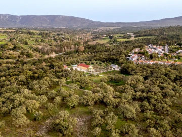 Quinta T9 para Venda em Azeitão (São Lourenço e São Simão)