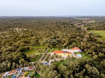 Quinta T9 para Venda em Azeitão (São Lourenço e São Simão)